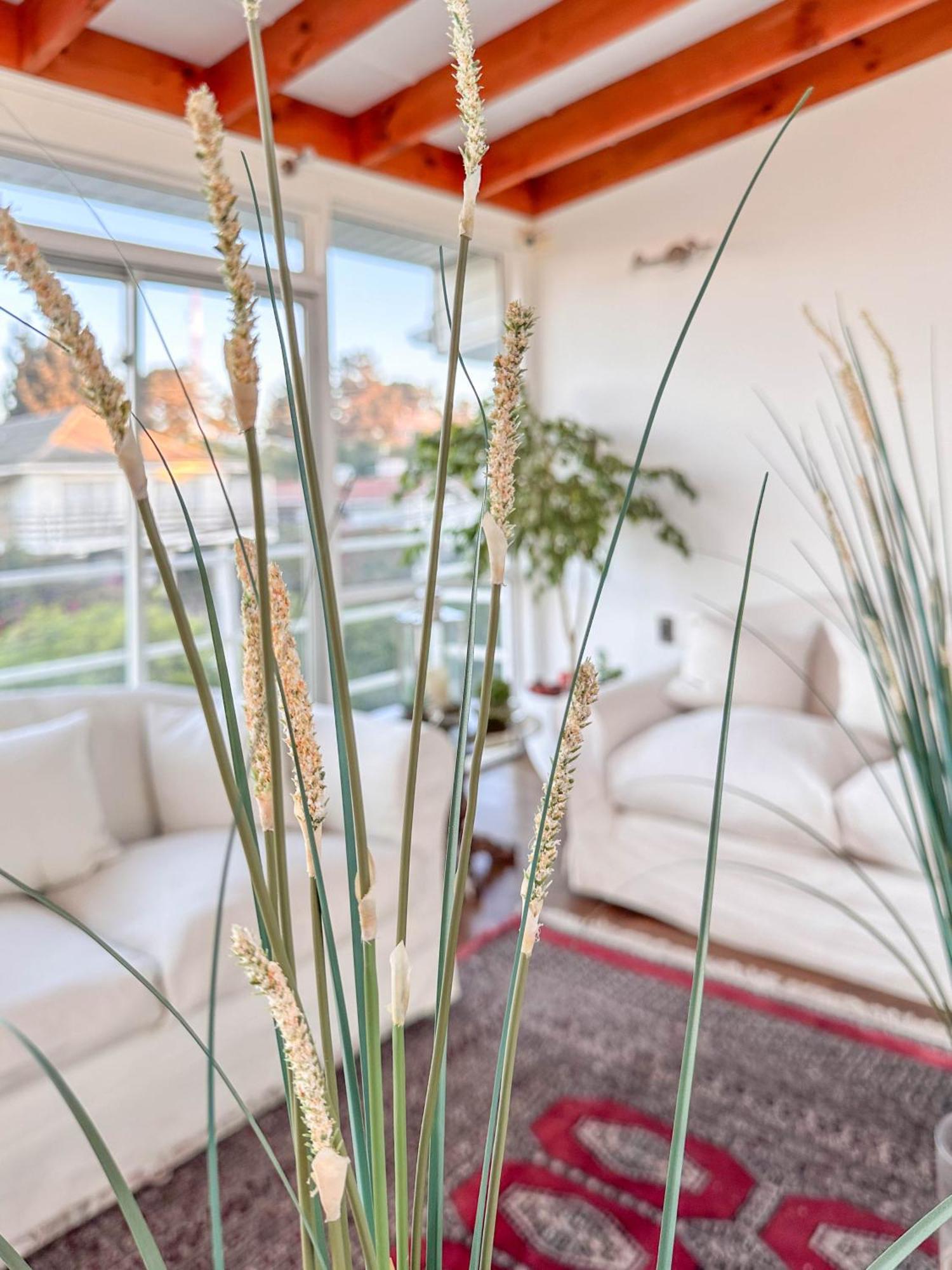Kai Bed And Breakfast Algarrobo Εξωτερικό φωτογραφία